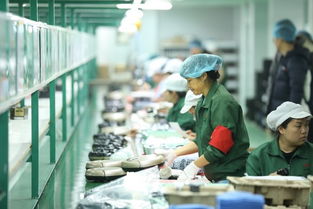 拼多多賦能“拼工廠”，深圳試點(diǎn)透明化生產(chǎn)，麥秸畫(huà)傳統(tǒng)工藝觸網(wǎng)新生